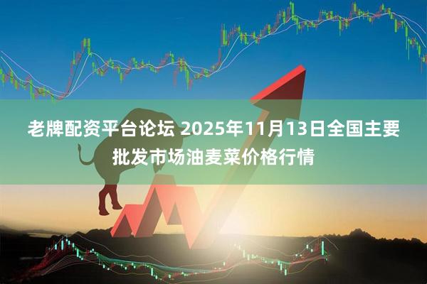 老牌配资平台论坛 2025年11月13日全国主要批发市场油麦菜价格行情